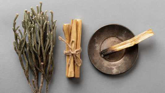 Il palo santo, che cos'è, a cosa serve e perchè usarlo.