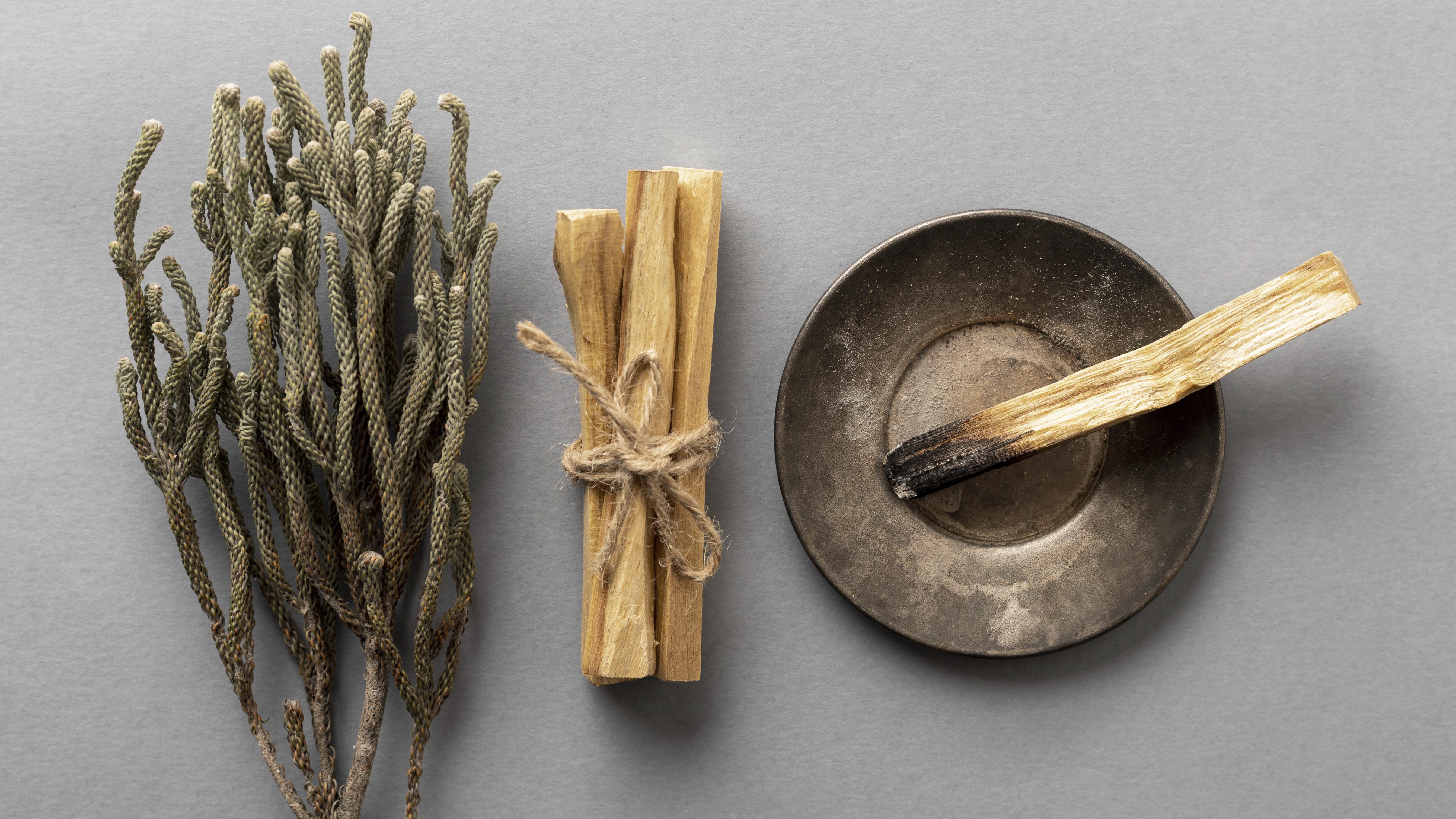 Il palo santo, che cos'è, a cosa serve e perchè usarlo. – Ribes of LOVE