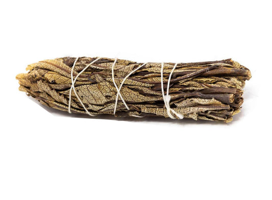 SMUDGE GUARIGIONE: YERBA SANTA Californiana